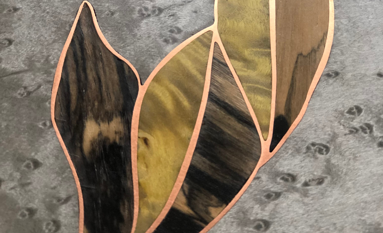 Échantillon feuilles naturels illustrant la richesse des textures disponibles pour des créations personnalisées.